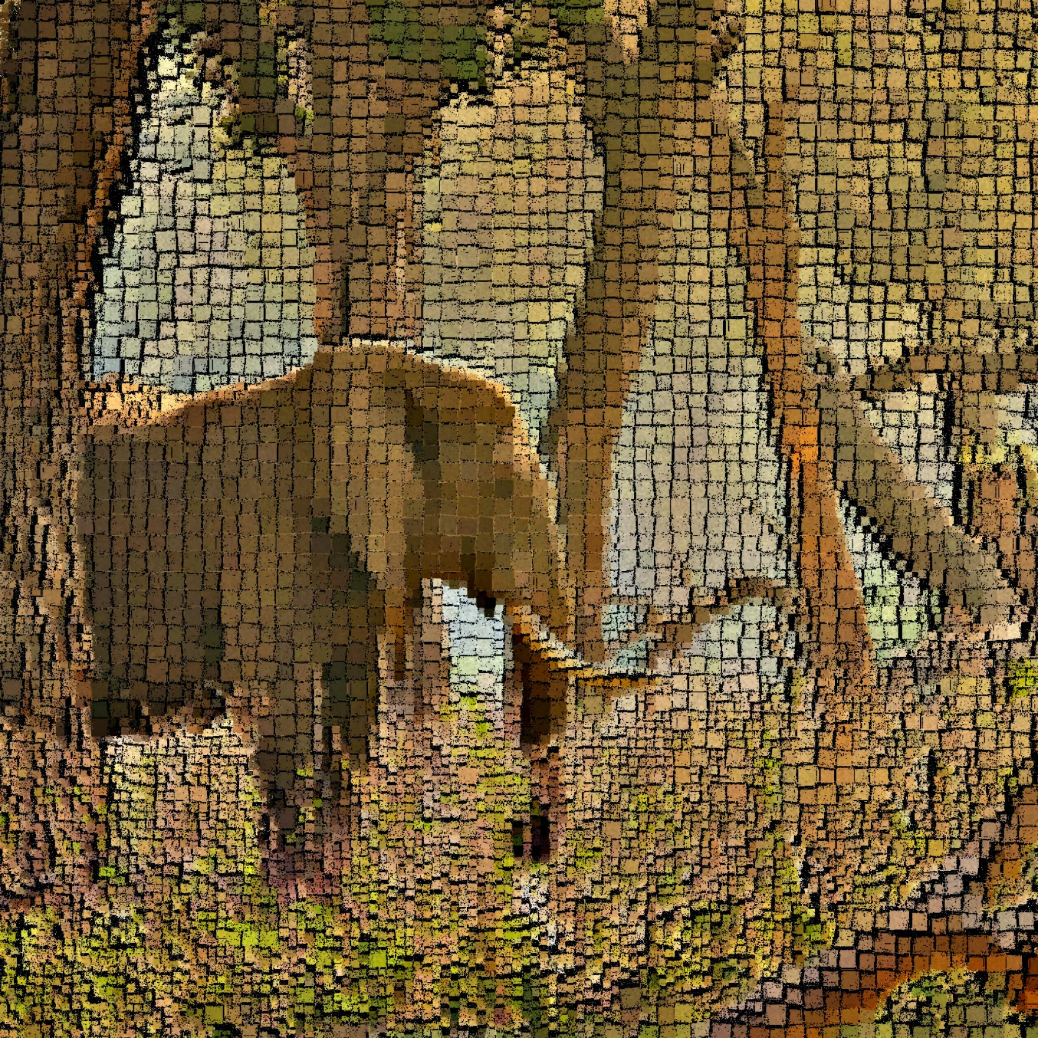 Please Don't Forget Me by lawaning